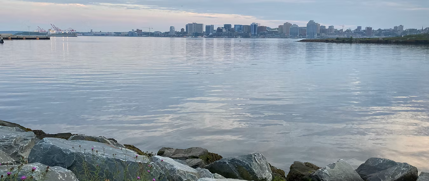 Construction firm ramps up legal, political efforts in bid to infill cove