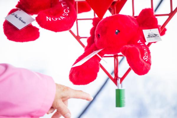 Lobster dinner to benefit DGH ultrasound program