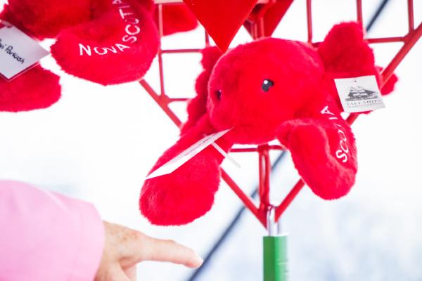 Lobster dinner to benefit DGH ultrasound program