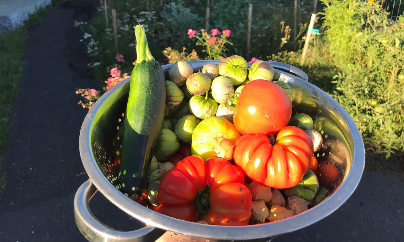 Meet the neighbours growing food in their front and backyards