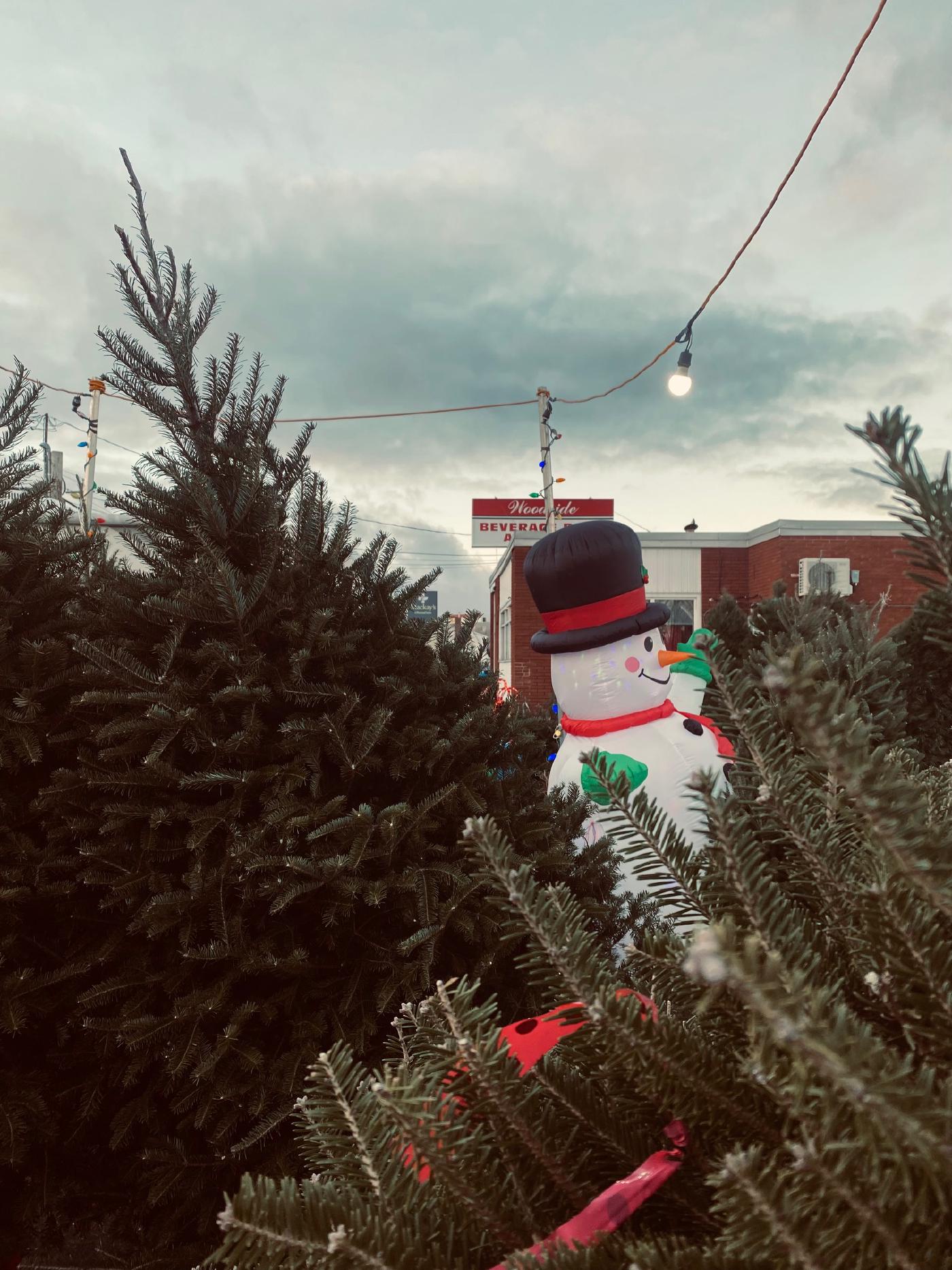 O Christmas tree, thy leaves are so unchanging