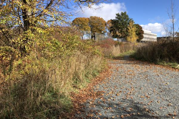 All invited to Feb. 18 meeting to discuss Esson Road project