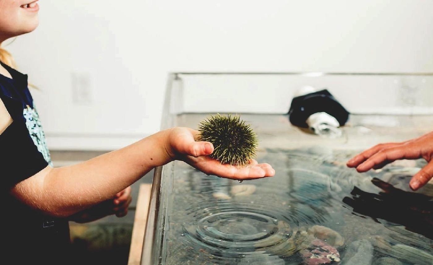 Dartmouth events kicking off as weather starts to warm