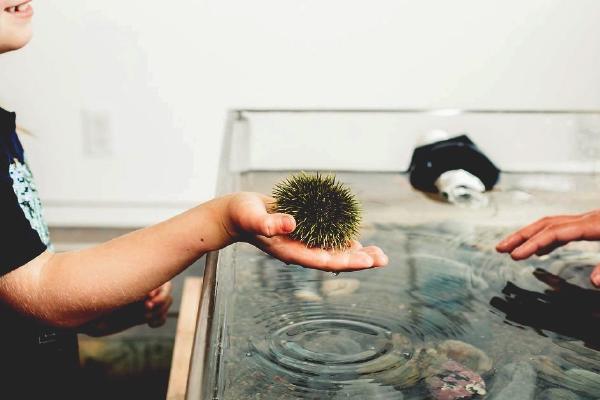 Dartmouth events kicking off as weather starts to warm