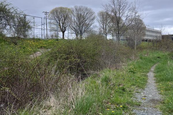 Esson Road beautification project gets funding boost, city involvement