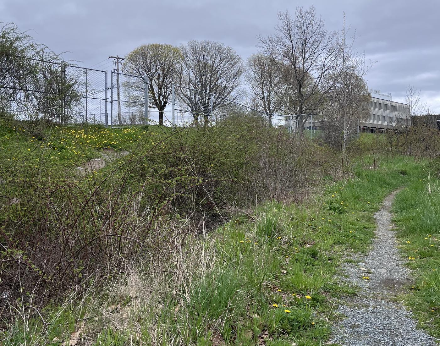 Esson Road beautification project gets funding boost, city involvement