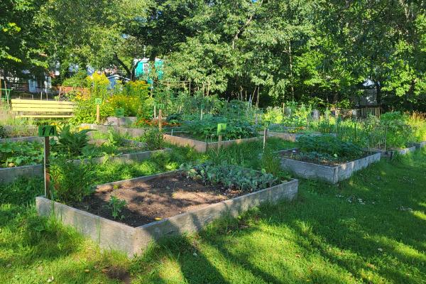 A guide to gardening on city land in Dartmouth