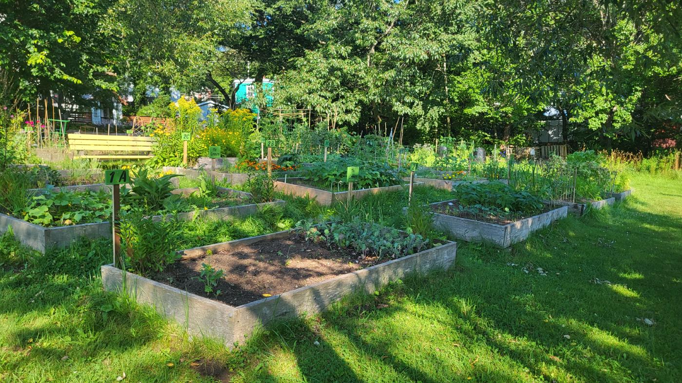 A guide to gardening on city land in Dartmouth