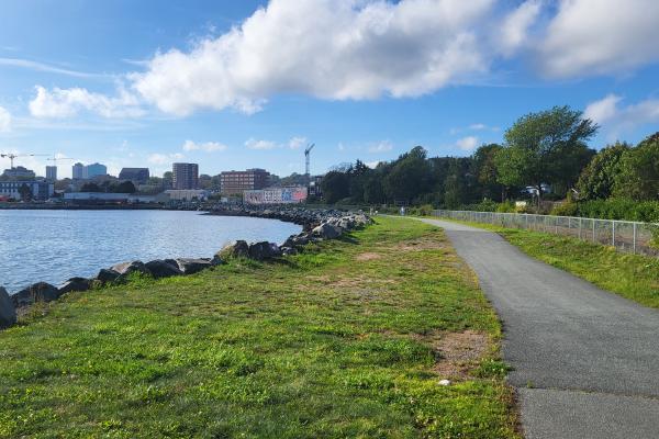 Dartmouth Cove infill bylaw hearing set for 2027